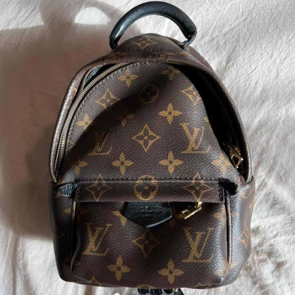 LOUIS VUITTON MINI PALM SPRING BACKPACK MINI